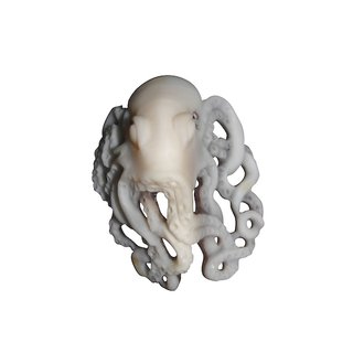 Octopus cameo